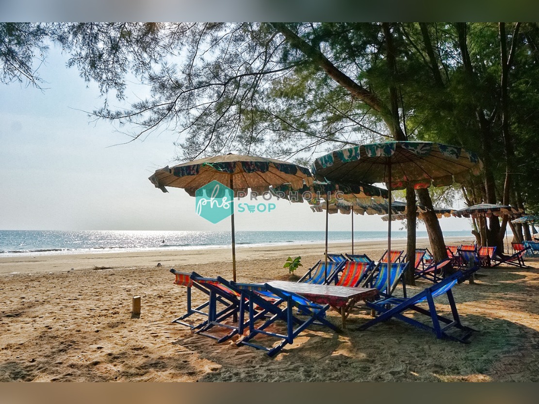 ขาย | สตูดิโอริมชายหาดกว้างขวาง เพิ่งปรับปรุงใหม่และพร้อมเข้าอยู่! (หาดแม่รำพึง, ระยอง)